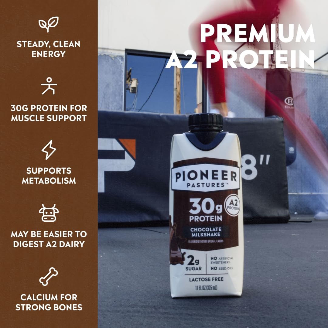 Pioneer Pastures High Protein A2 Milkshakes, Chocolate, 11oz, 12 Pack | A2 Protein Shake, 30g Protein, Ultra-Filtered, Lactose Free, 2g Sugar, No Seed Oils, No Artificial Sweeteners